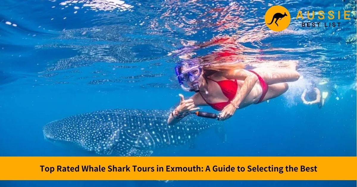 best whale shark tour exmouth